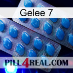 Jelly 7 viagra2